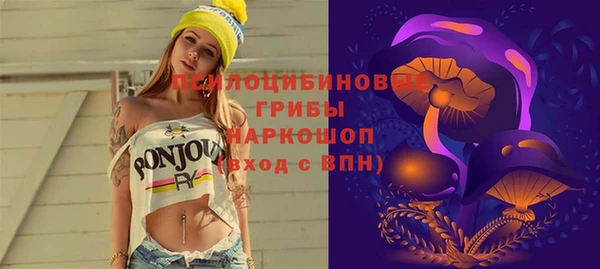 эйфоретик Алексин