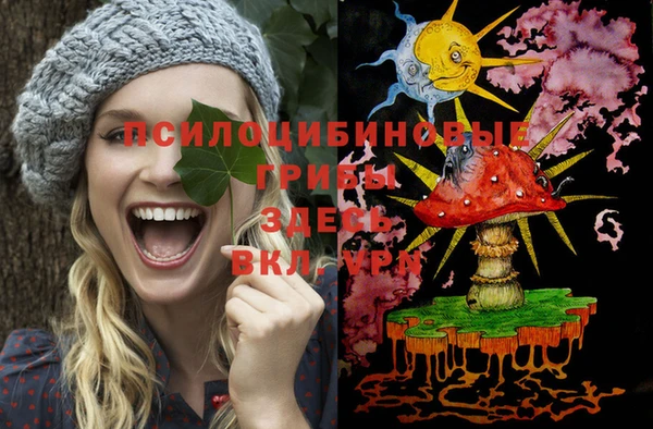 эйфоретик Алексин